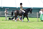 SBM_07868