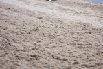 SBM_001452