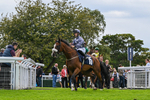 300826-Race 5-Harb-0944