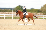 SBM_001904