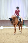 SBM_004411