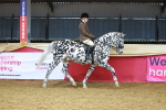 SBM_12465