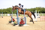 SBM_003967