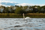 Brockholes 02