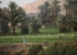 Egypt Street and River 4 2jpg