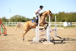 SBM_003086