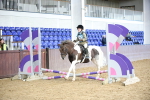 SBM_000213