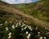 Deep Dale #02