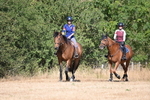 WJ6_8375