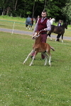SIAL7658