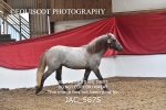 JAC_5675