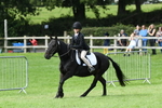 SBM_46953