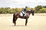 SBM_004878