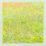 IMPRESSION, JUNE MEADOW -  UPPER AMHERST COVE