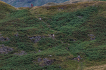 Arnison Crag-26