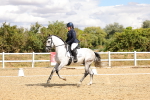 SBM_004756