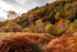 Valley Colour