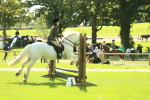 SBM_41988