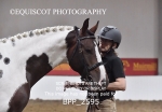 BPP_2595