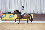 SBM_001663