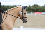 SBM_002877