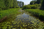 Viikki-Vanhankaupunginlahti Nature Reserve, Helsinki, Finland