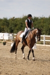 SBM_015785