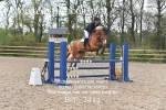BPP_3411
