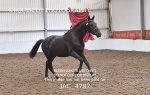 JAC_4787