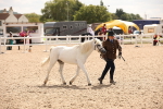 SBM_04644