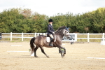 SBM_009883