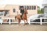 SBM_17970