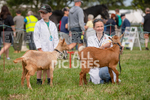 Guernsey Agricultural Show 2021-72