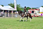 SBM_19527