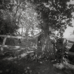 Wolfs lair, Jersey Coast 4