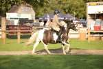 SBM_54349