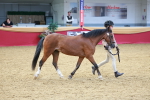 SBM_04245