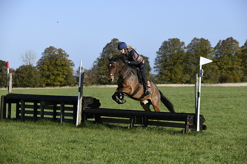 _DSC3899
