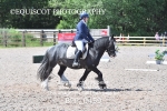 BPP_0459