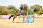 SBM_003882
