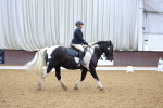 SBM_000333