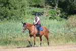 WJ7_7900