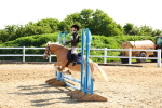 SBM_006691