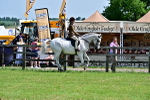 SBM_03726