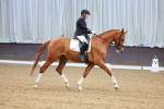 SBM_001377