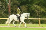 SBM_71862