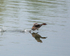 20140503-3K8A0736