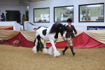 SBM_09793