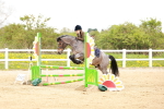 SBM_005246