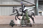 BPP_6884